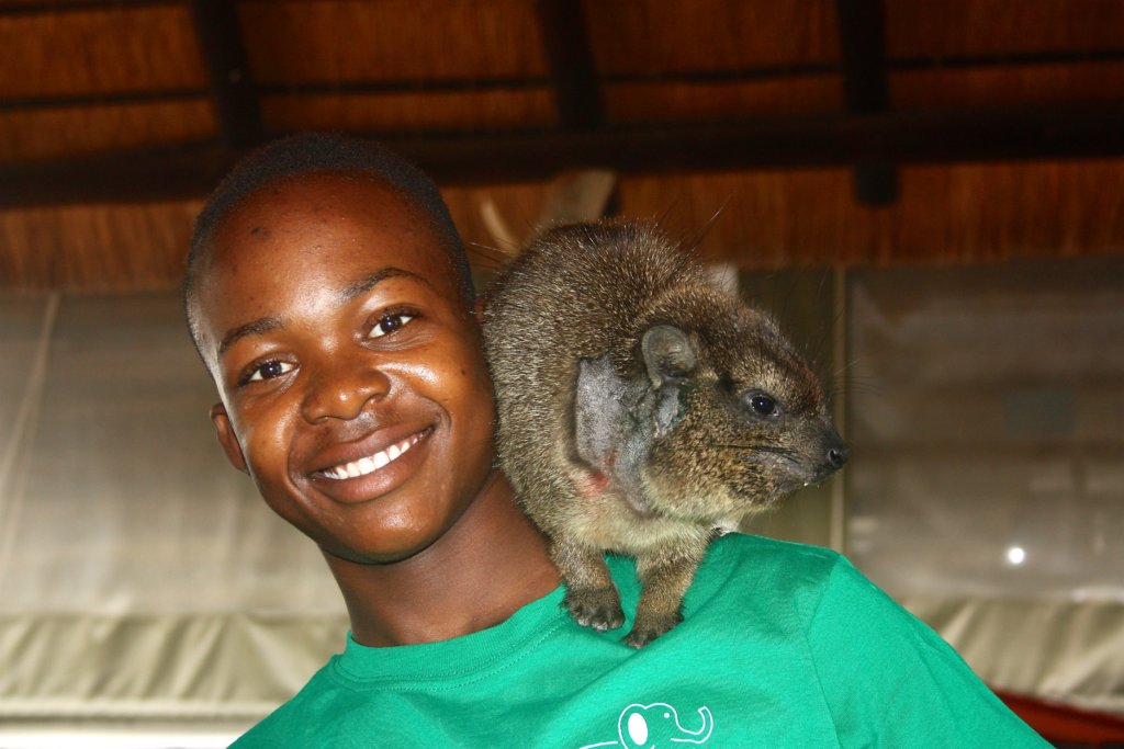 Our Dassies Need a New Jacuzzi