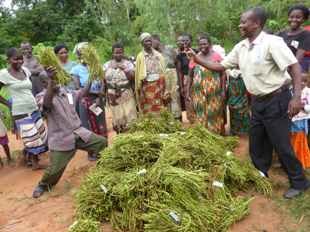 Plant. Share. Eat. Tackling Malnutrition in Malawi