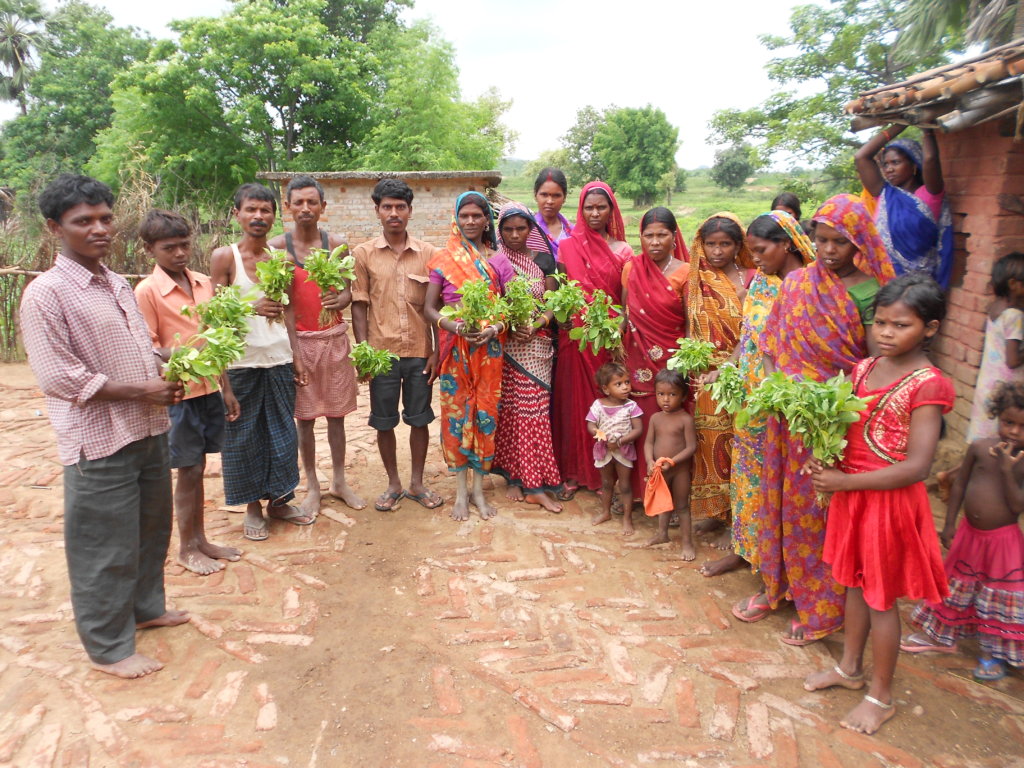 Plant Kitchen Gardens for Families in Need, India