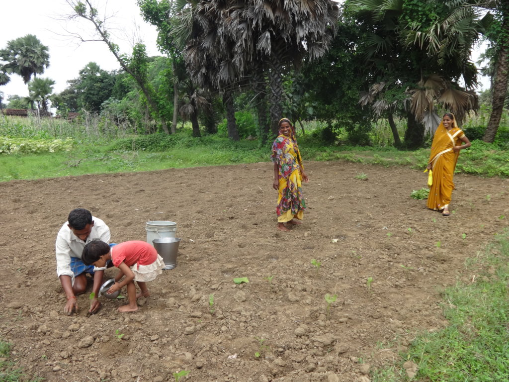 Plant Kitchen Gardens for Families in Need, India