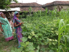 Empowering Women and Communities: Kitchen Gardens