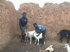 Gabriel and Gibon with goats