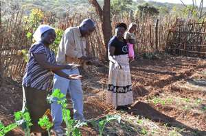 Conservation Farming training