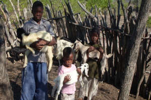 Cuthbert, siblings and goats