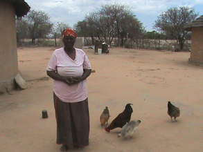 grace and the chickens