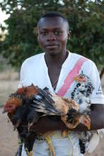 David and his chickens
