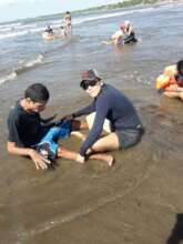 beach