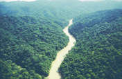 Protecting beaches and rainforest in Honduras