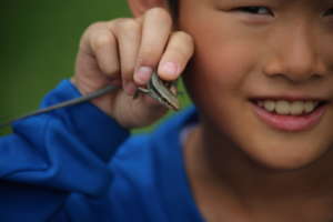 Boys will be boys. Caught lizard.