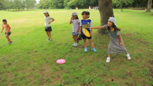 Frisbee golf