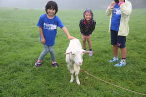 Visit to a farm.