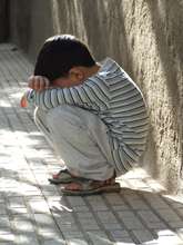 Children of domestic violence survivors