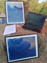 Cyanotype exhibition of Sonya P. / Kathyn M.