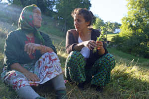 Exchanging know-how about herbs