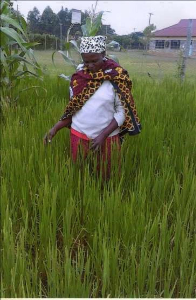 Empower 500 women in economic development in Kenya