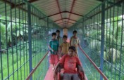 Rehabilitate 250 disabled children in India