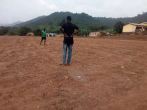Field after leveling