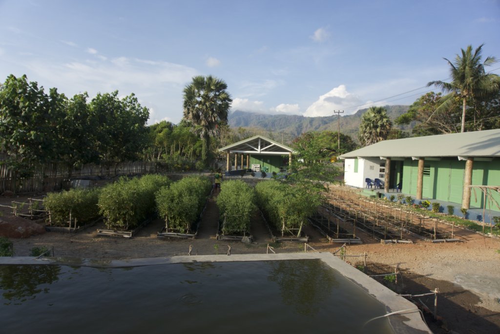 New Livelihoods for 150 Artisans in East-Timor