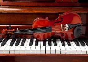 A variety of instrumental lessons are available