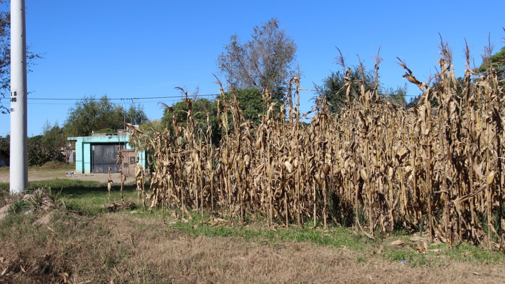 Protecting Communities Exposed to Agrochemicals