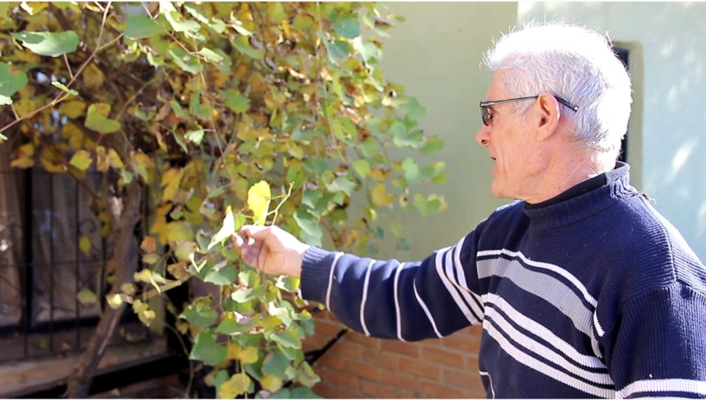 Protecting Communities Exposed to Agrochemicals