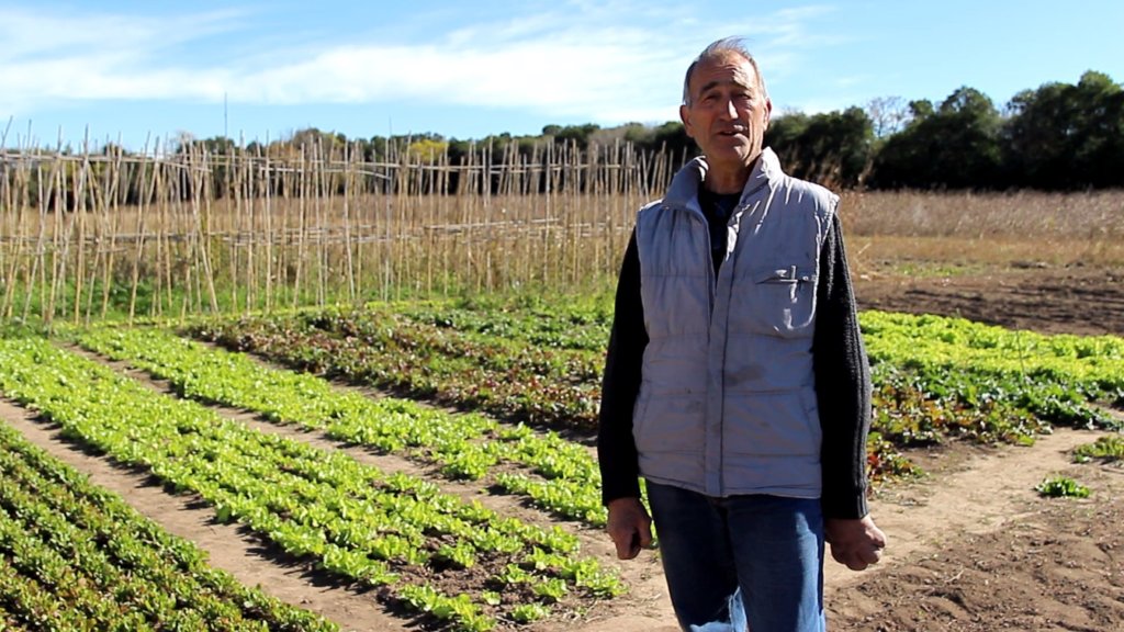 Protecting Communities Exposed to Agrochemicals