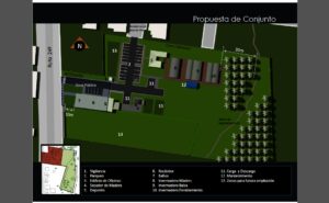 Forestplaza ASIREA