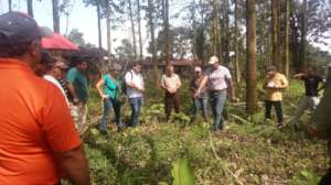 An agroforestry field day for local farmers