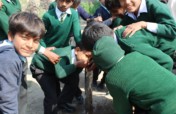 Provide solar and clean water to school children