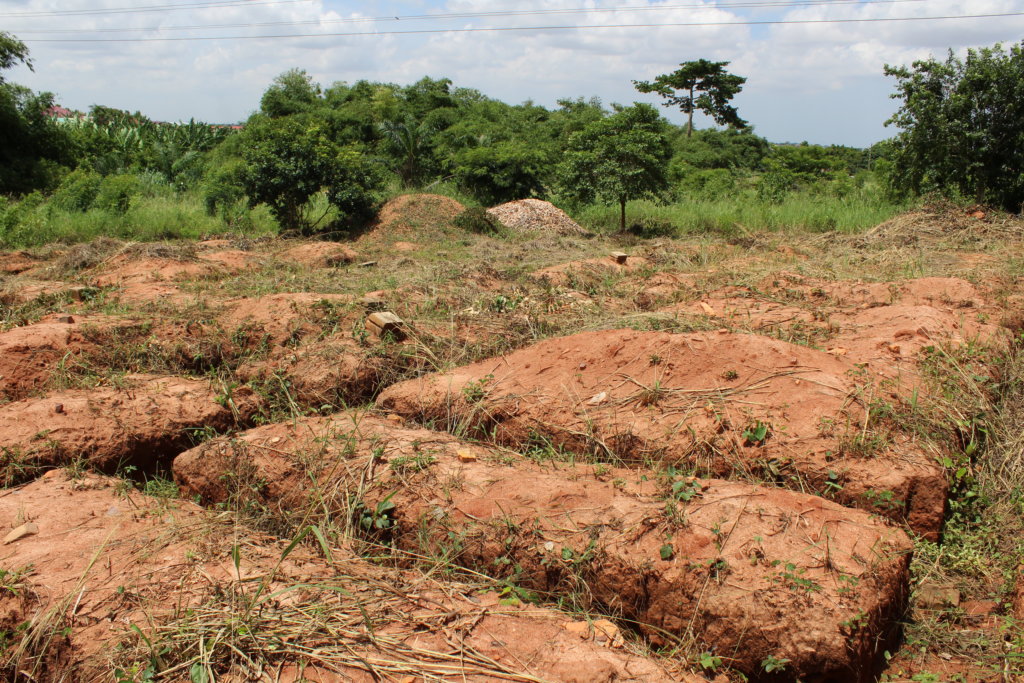 Help TANF Build a School for 400 Ghanaian Children