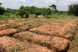 The purchased land for the school