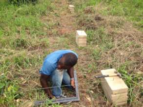 Taking profile to prepare for the main foundation