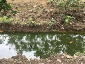 Polluted water resource