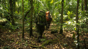 Rangers patrolling western Bladen Nature Reserve