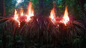 Camp destroyed