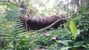 Camp found in western Bladen Nature Reserve