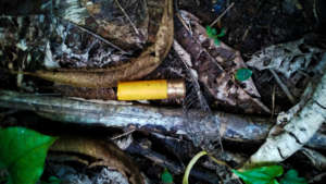 Expended cartridge, a sign of hunting