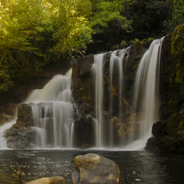 Help Rangers Protect Forests in Southern Belize