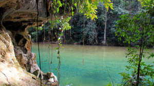 Pristine Bladen Nature Reserve