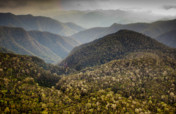 Help Rangers Protect Forests in Southern Belize