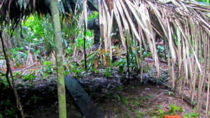 One of the campsites found