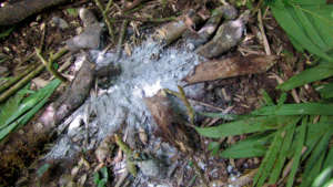 A recently used campfire