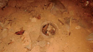 Pottery pieces from another looted site