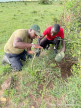 Pangolin Burrow & Camera trap, Credit Barry Butler