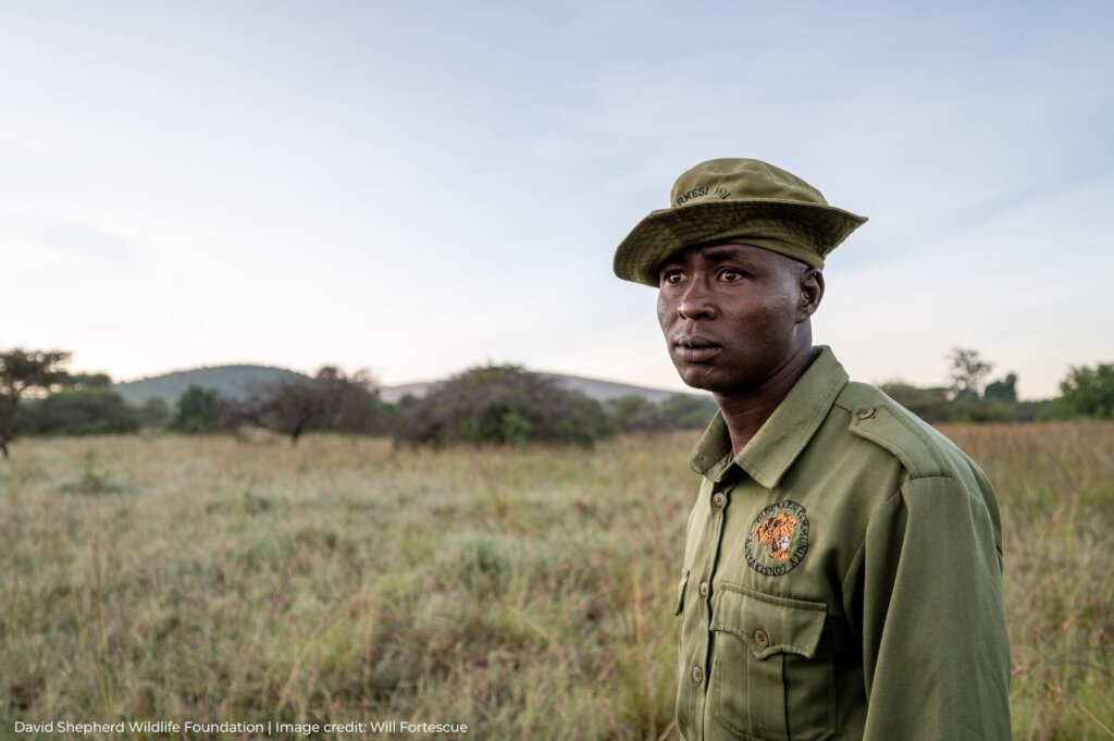 Protecting Pangolins