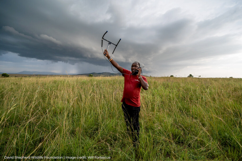 Protecting Pangolins
