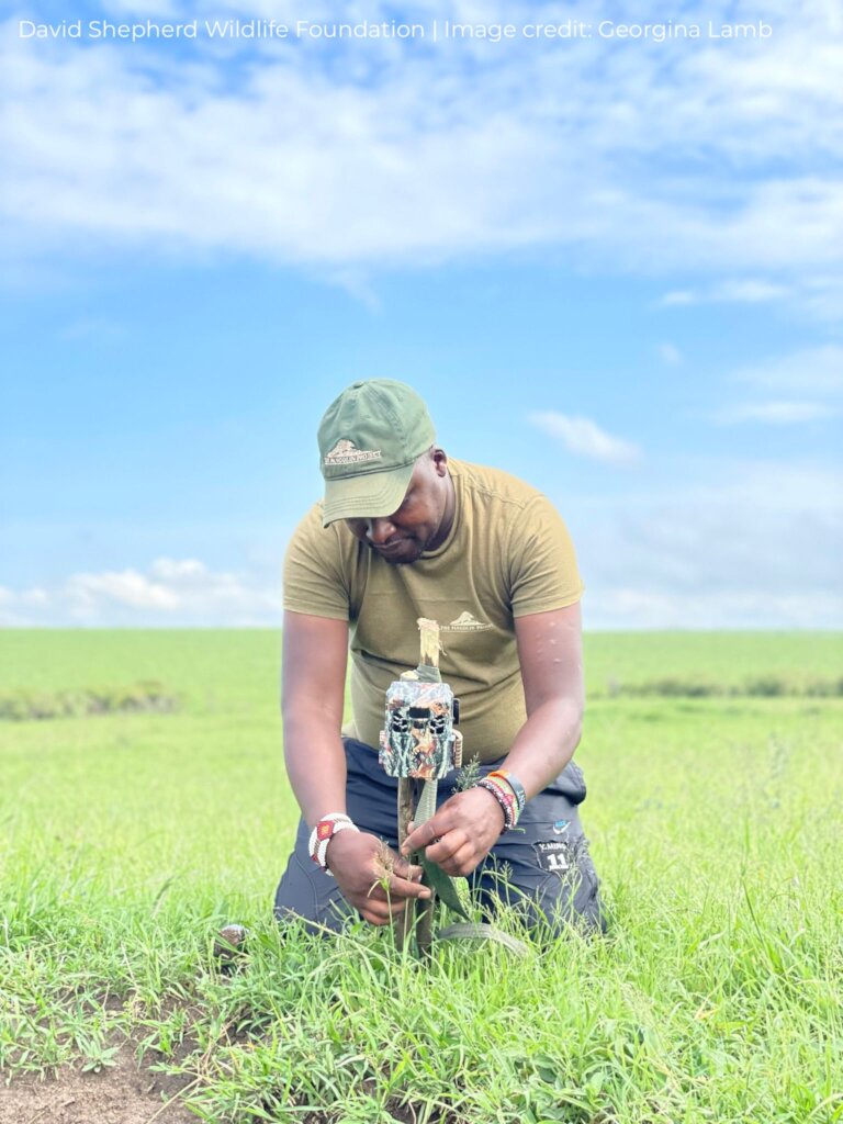 Protecting Pangolins