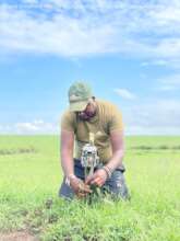 Pangolin Camera Trap