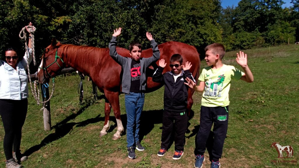 Bring Back Horse Therapy for Families of Disabled