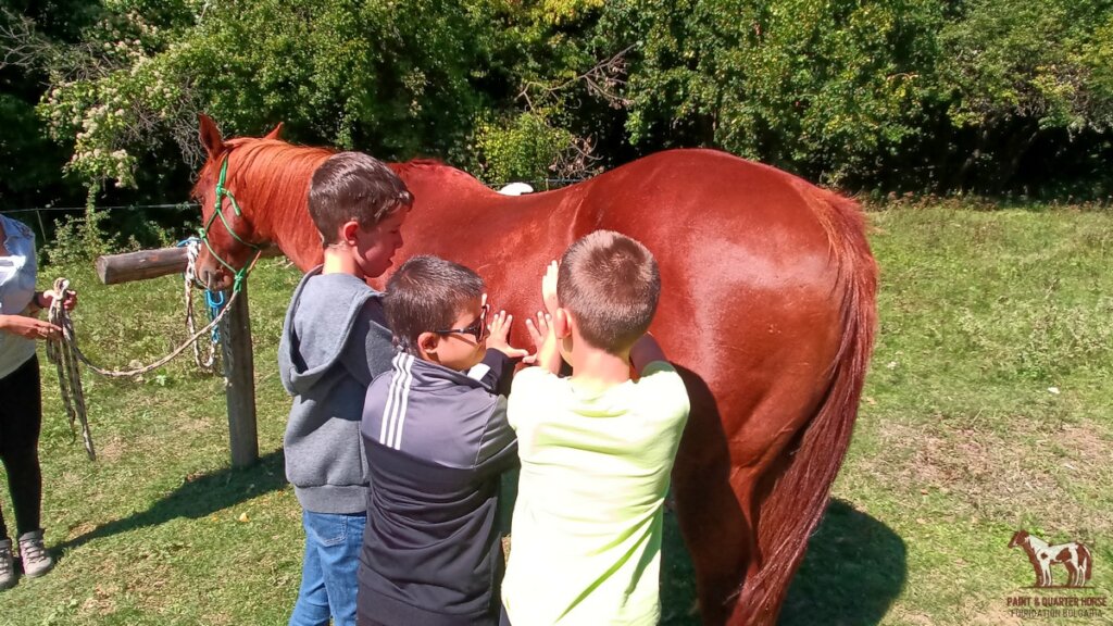 Bring Back Horse Therapy for Families of Disabled